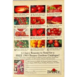Burpee "Free 1993 Burpee Gardens Catalogue!" Vintage Print Ad 1993
